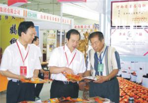 原安陽(yáng)市市長(zhǎng)董永安、副市長(zhǎng)陳明今到公司調(diào)研